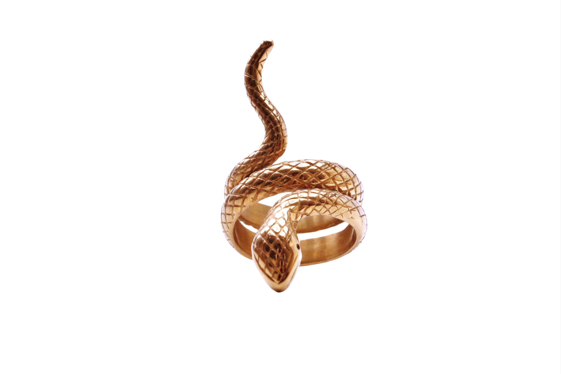 Anillo Ofidia