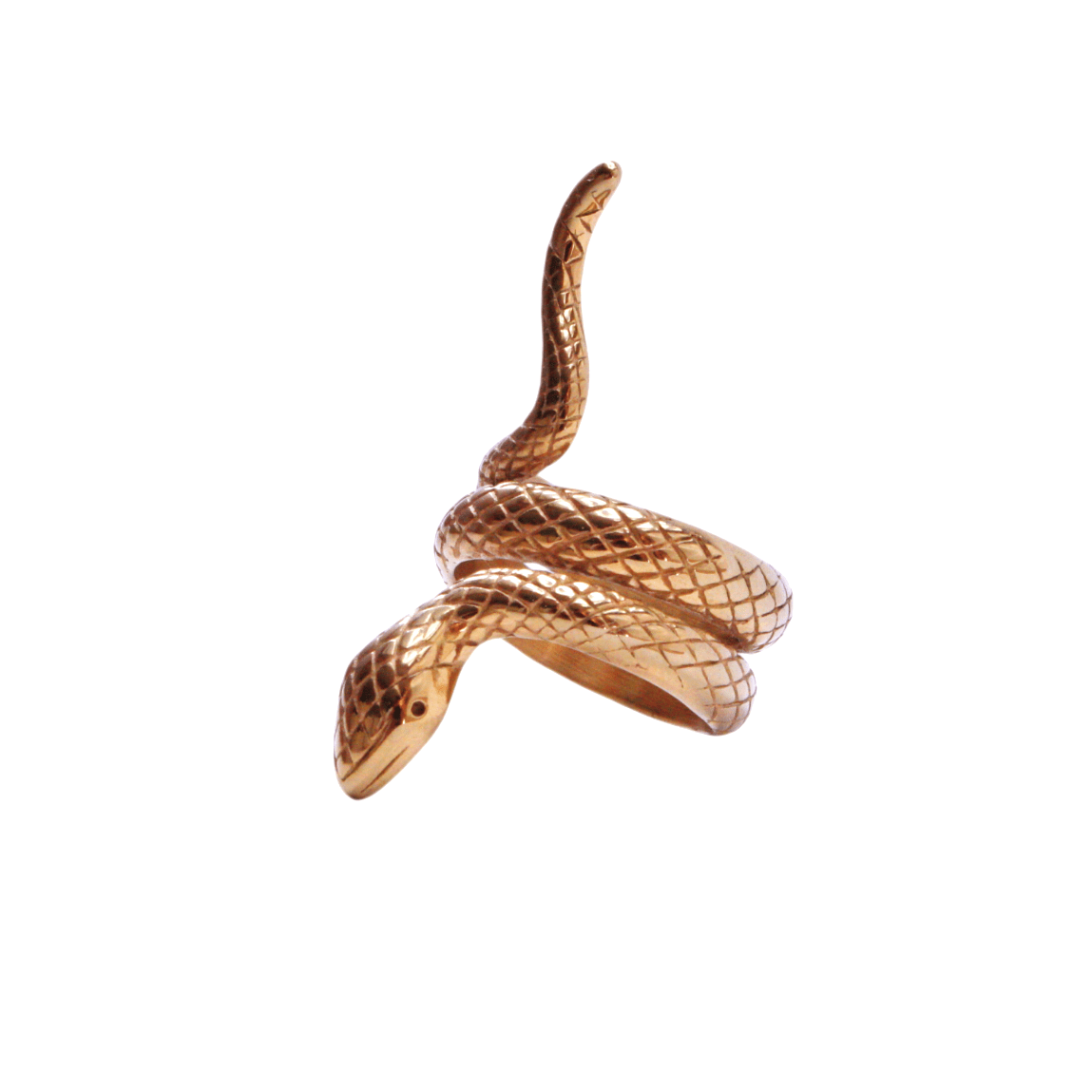 Anillo Ofidia